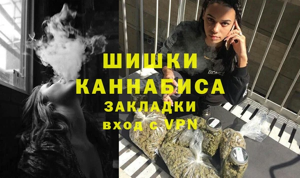 тгк Дмитровск