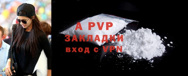 прущая мука Дмитриев