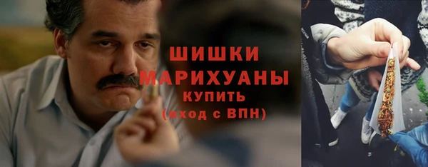 прущая мука Дмитриев