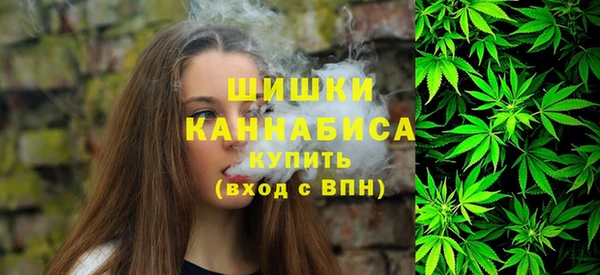 тгк Дмитровск