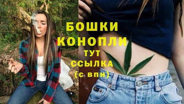 прущая мука Дмитриев