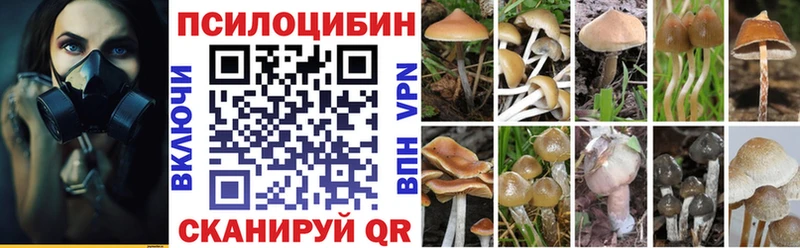 где можно купить   hydra   Псилоцибиновые грибы Psilocybine cubensis  Омутнинск 
